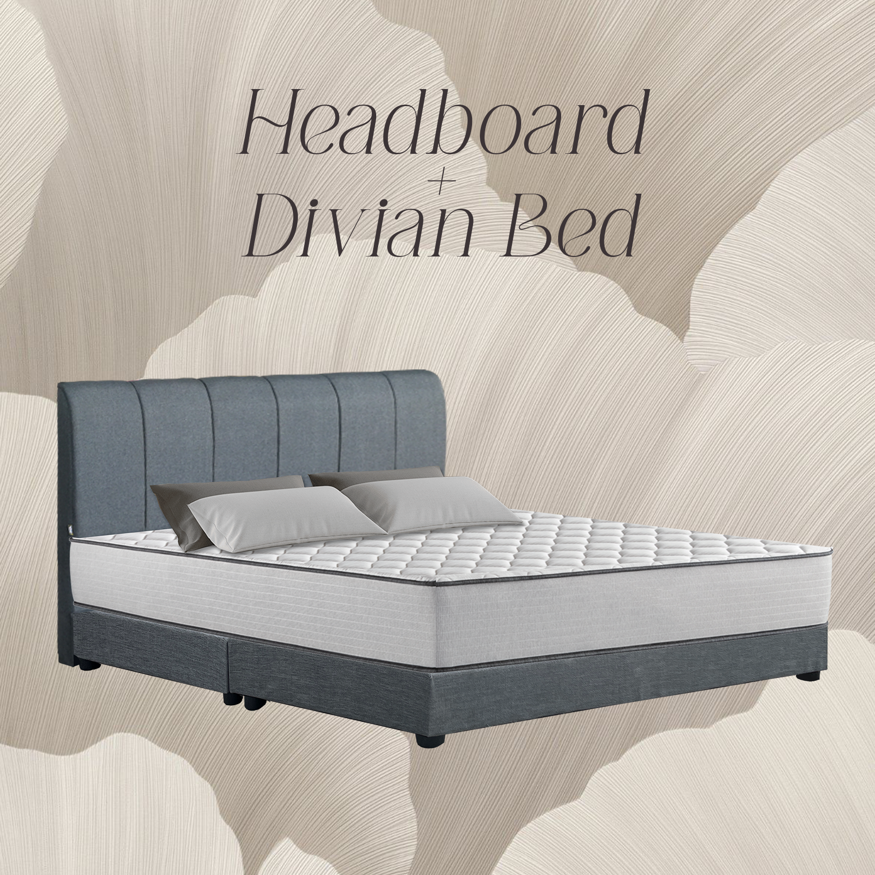 ASP019 BED