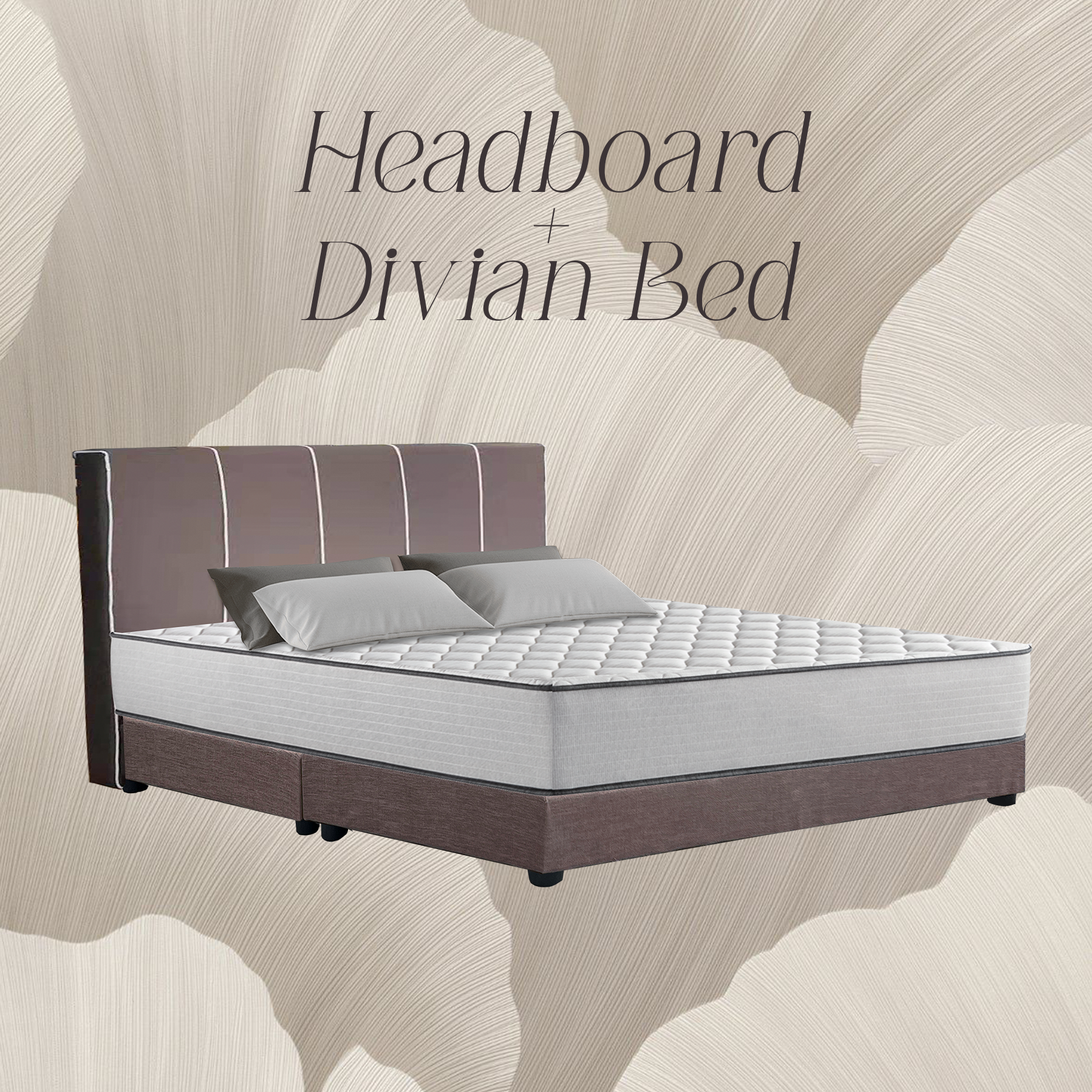 ASP031 BED